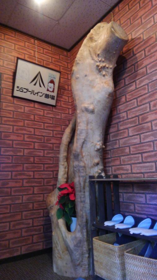Spur In Naeba Villa Kusatsu  Dış mekan fotoğraf